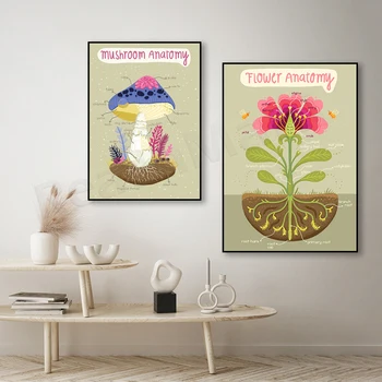 Рисунки по анатомии грибов, инфографика по грибам, принты по анатомии цветов. Подарок для украшения постера с цветочной инфографикой