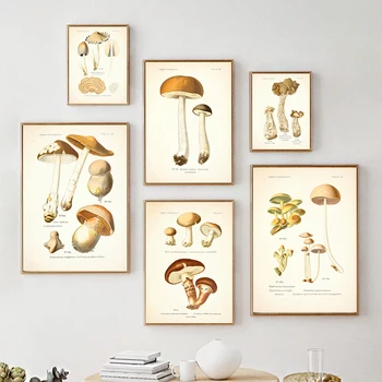 Атлас съедобных и ядовитых грибов, печать на холсте, винтажные ботанические плакаты, настенная живопись, картина для гостиной, домашний декор